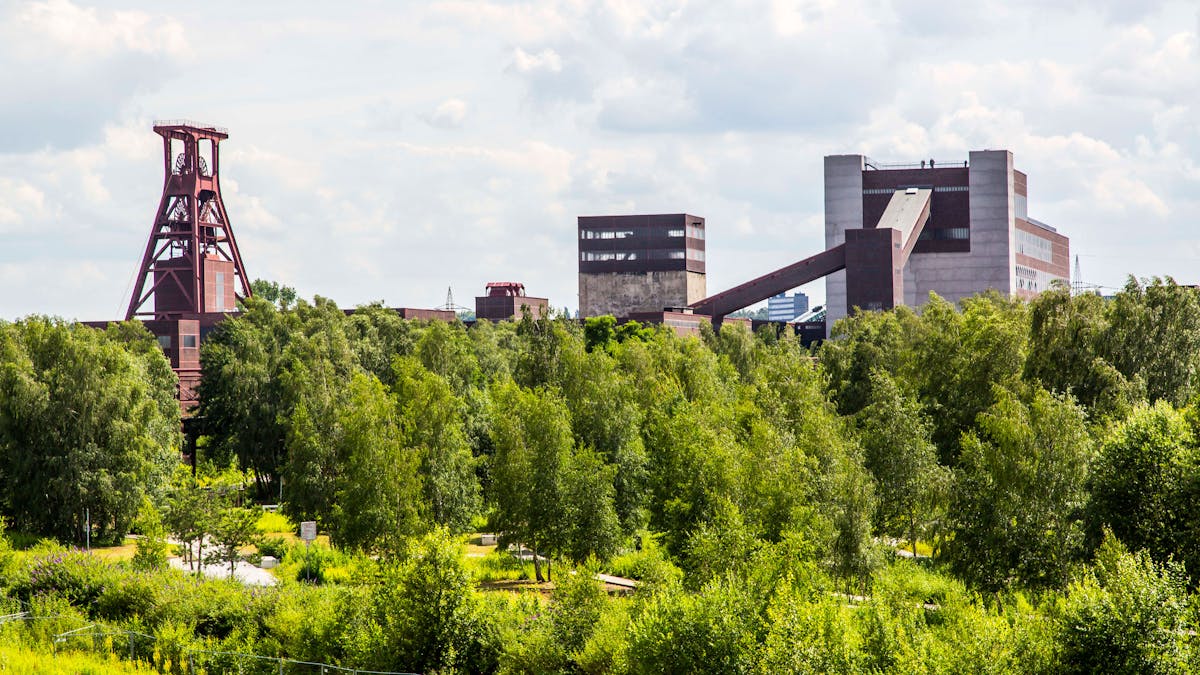 Das Bild zeigt die Zeche Zollverein in Essen mit einem Kontrast zwischen Industriekultur und Natur. Im Vordergrund erstreckt sich eine dichte, grüne Waldlandschaft mit jungen Bäumen, Sträuchern und geschwungenen Spazierwegen. Diese begrünte Fläche gehört zum Zollverein Park, einem Naherholungsgebiet auf dem ehemaligen Zechengelände. Im Hintergrund erheben sich die markanten Industriegebäude der Schachtanlage 12. Links im Bild steht das berühmte Doppelbock-Fördergerüst, das als Wahrzeichen des Ruhrgebiets gilt. Seine rotbraune Stahlkonstruktion hebt sich vom Himmel ab. Rechts davon sind verschiedene Gebäude der ehemaligen Kohleverarbeitung zu sehen, darunter die die Kohlenwäsche, in der sich heute das Ruhr Museum befindet. Lange Förderbandbrücken verbinden die Gebäudeteile.