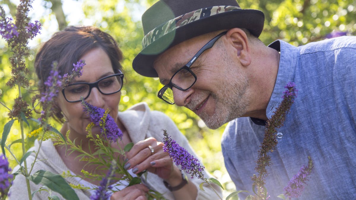 Ein Mann mit Brille, Bart und Hut mit Camouflageband sowie eine Frau mit Brille und dunklen Haaren riechen an violetten Blüten im Zollverein Park. Die beiden wirken entspannt und genießen die Natur. Die Sonne scheint durch das grüne Blätterdach der Bäume, wodurch eine warme Atmosphäre entsteht. Die Szenerie zeigt die Vielfalt der Pflanzenwelt im renaturierten Industrieareal der Zeche Zollverein.