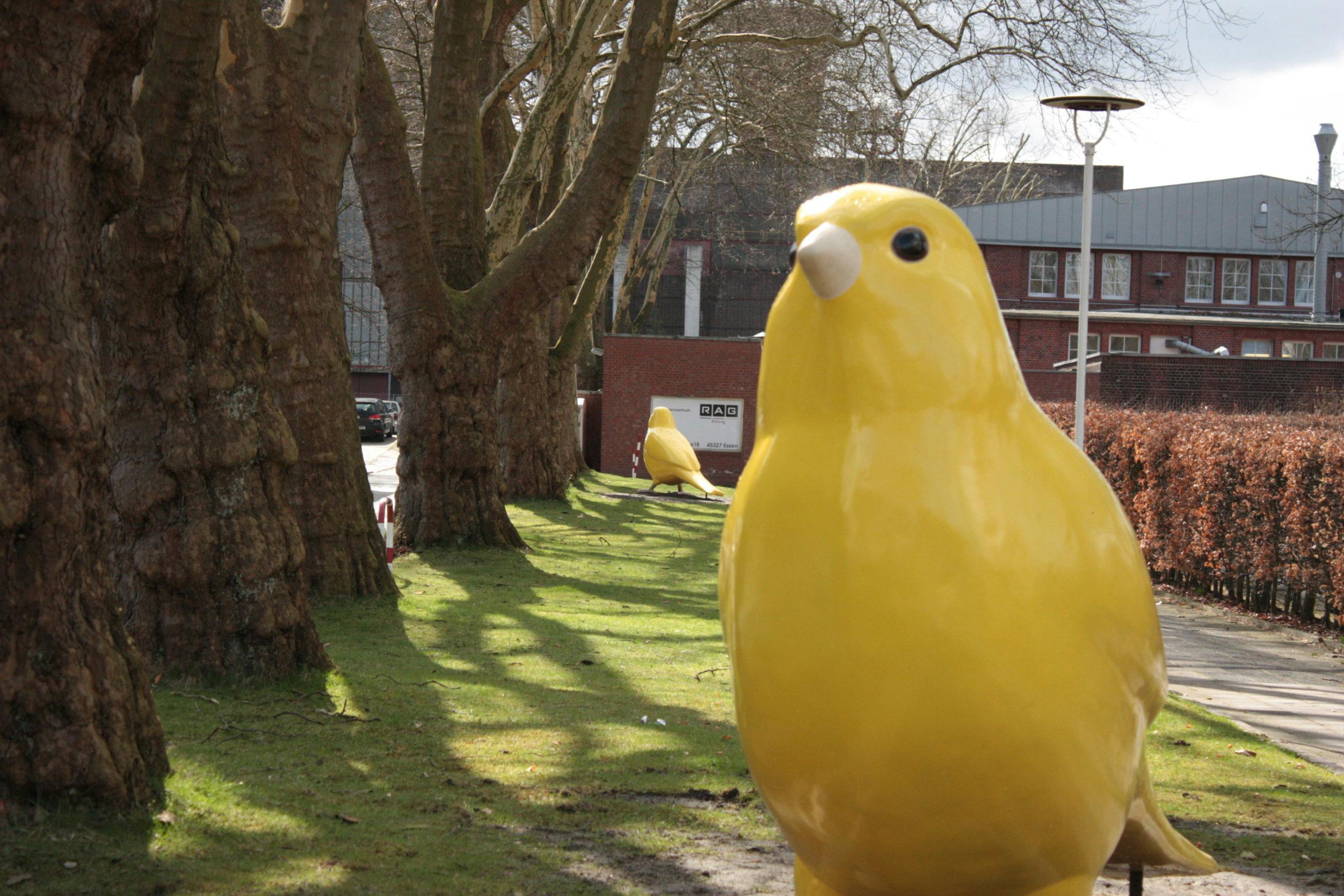 Mehrere überlebensgroße gelbe Kanarienvogel-Skulpturen stehen auf einer Rasenfläche unter großen Platanen entlang eines Gehwegs. Die Vögel sind glatt, glänzend und stilisiert gestaltet. Im Hintergrund sind ein Backsteingebäude, ein Laternenmast und ein Schild mit der Aufschrift RAG zu sehen. Die Szene wirkt ruhig und leicht sonnig.