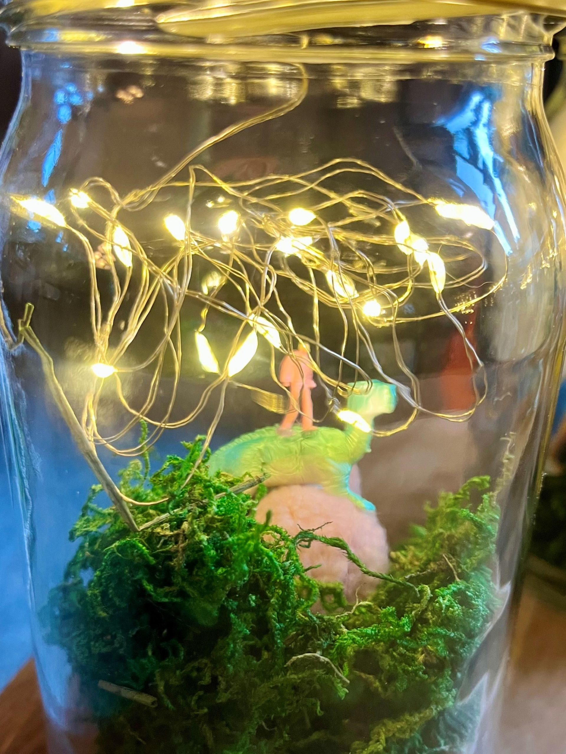 Das Bild zeigt ein großes Einmachglas, in dem eine fantasievolle Miniaturlandschaft gestaltet ist. Am Boden des Glases liegt grünes Moos, darauf befindet sich ein kleiner Plastikdinosaurier, auf dessen Rücken eine winzige rosa Miniaturfigur steht. Über der Szene hängt eine Lichterkette mit warmweiß leuchtenden LEDs, die wie ein leuchtendes Netz den oberen Innenraum des Glases füllt. Die Szenerie erinnert an eine magische Welt im Glas, liebevoll arrangiert und atmosphärisch beleuchtet.