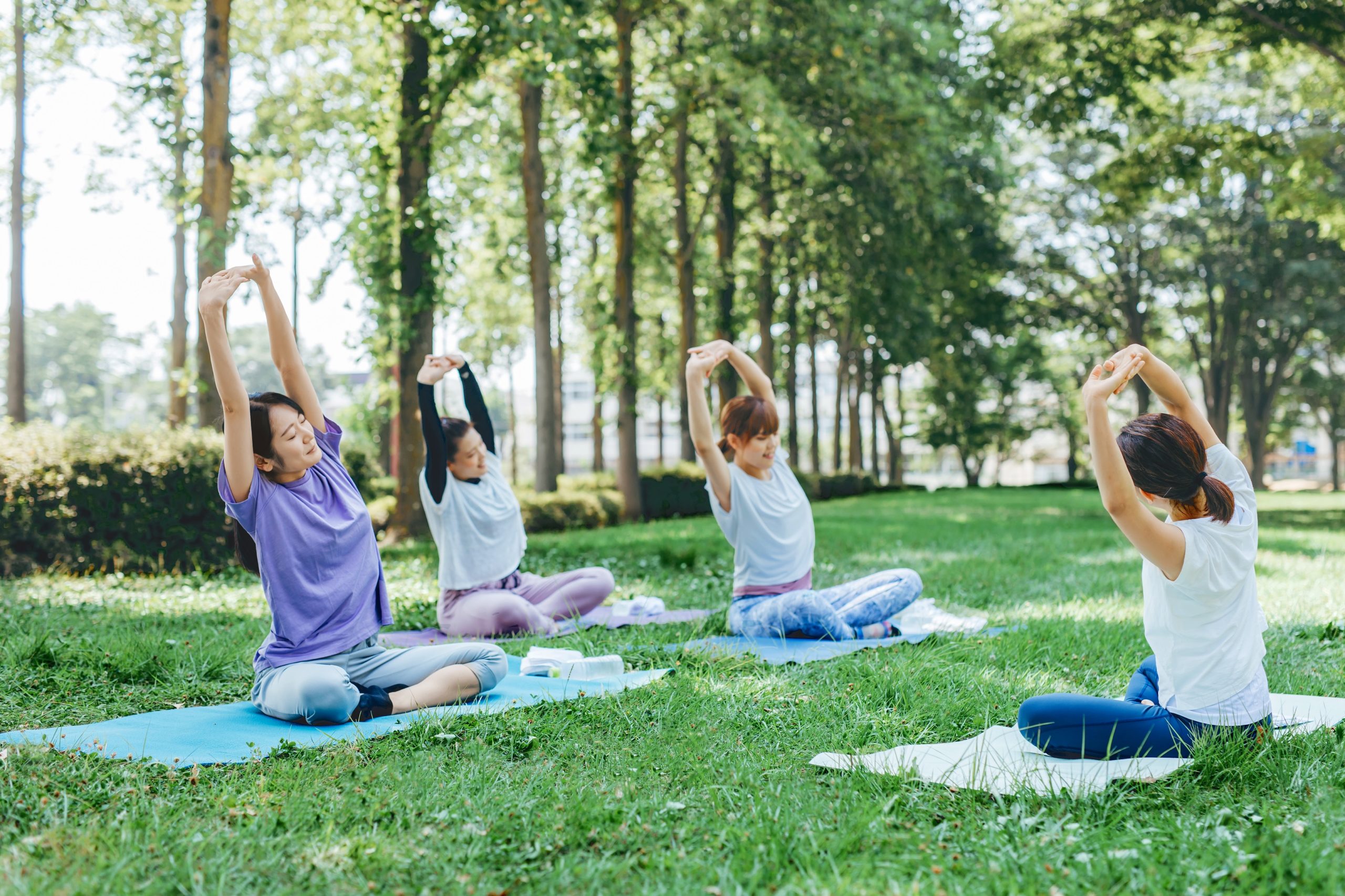 Vier Frauen sitzen im Schneidersitz auf Yogamatten auf einer Wiese in einem Park. Sie strecken beide Arme über den Kopf und dehnen sich zur Seite, als Teil einer gemeinsamen Yoga- oder Gymnastikübung. Die Szene spielt an einem sonnigen Tag unter hohen Bäumen, deren Licht- und Schattenspiel den natürlichen und entspannten Charakter der Umgebung unterstreicht. Die Atmosphäre wirkt ruhig, konzentriert und gesundheitsbewusst.