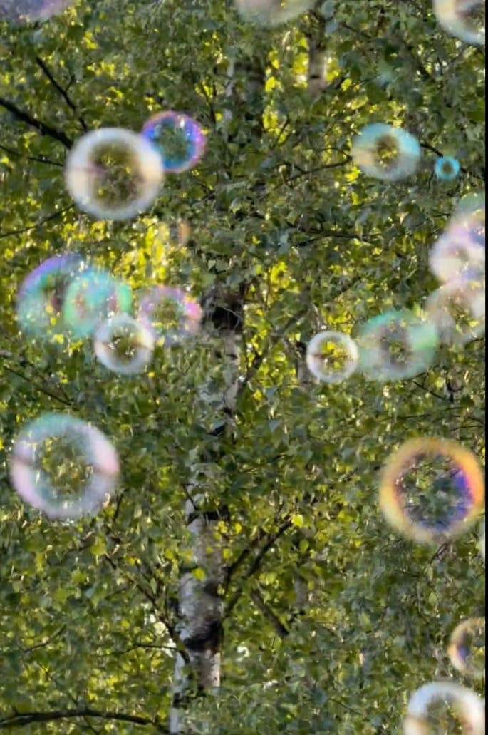 Im Vordergrund des Bildes schweben zahlreiche bunte Seifenblasen in verschiedenen Größen durch die Luft. Sie reflektieren das Sonnenlicht in schillernden Farben. Im Hintergrund steht ein Baum mit heller Rinde und dichtem, grünem Laub, das von warmem Sonnenlicht durchleuchtet wird. Die Szene wirkt verspielt und sommerlich.