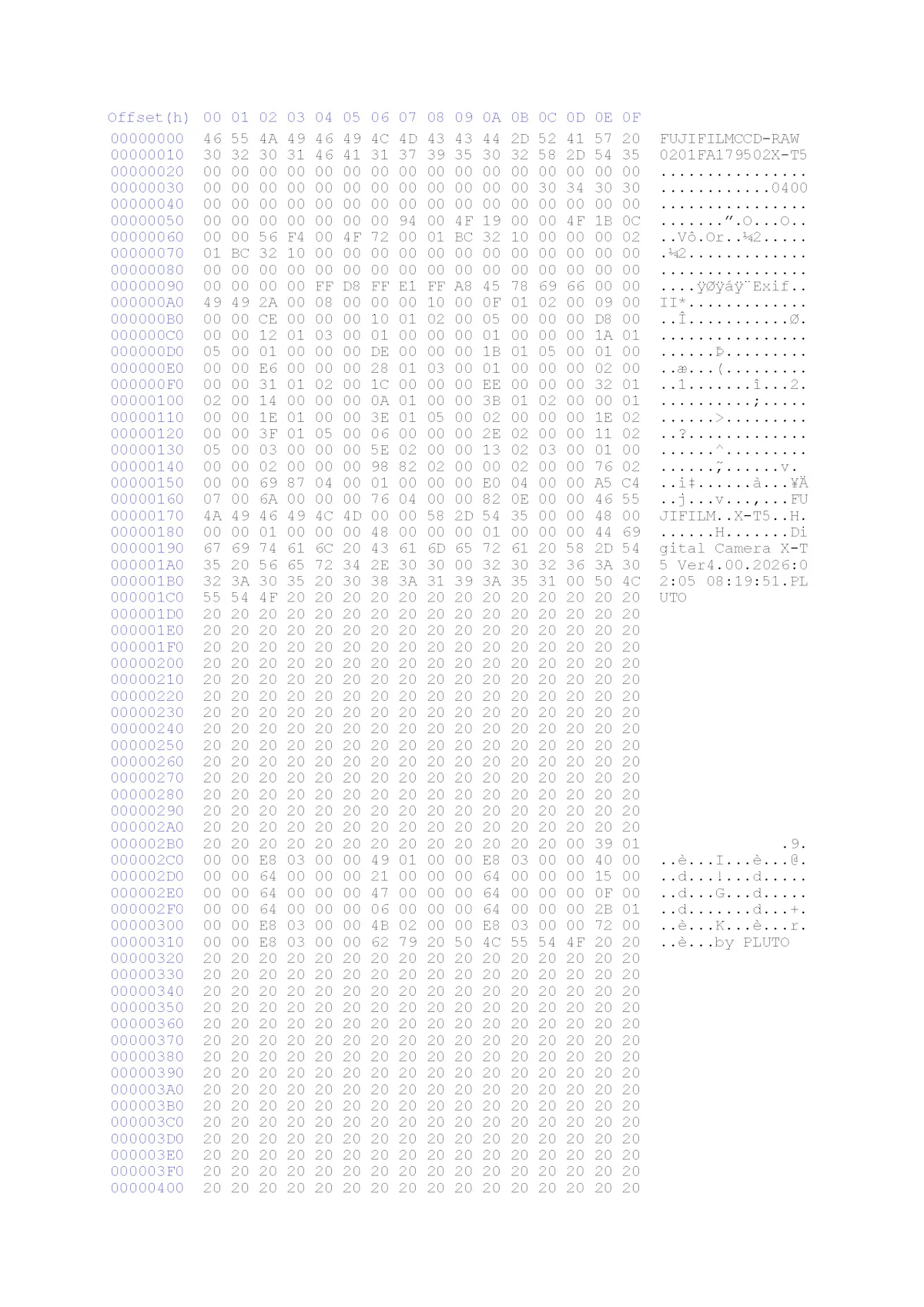 Hexadezimale Zeichen und ASCII-Darstellung sind in Spalten angeordnet. Links stehen Adressen, in der Mitte hexadezimale Werte, rechts die zugehörigen ASCII-Zeichen. Einzelne Felder sind durch Leerzeichen getrennt. Die Schrift ist einheitlich und monospaced. Einige Bereiche enthalten lesbare Zeichenfolgen, darunter Dateinamen und Softwarehinweise.