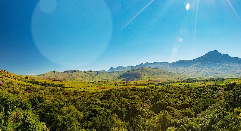 Weitläufige Landschaft mit dichter, grüner Vegetation im Vordergrund, dahinter offene Ebenen und sanfte Hügel. Am Horizont erhebt sich ein markanter Bergzug unter wolkenlosem, intensiv blauem Himmel. Sonnenreflexionen sind im linken oberen Bildbereich sichtbar.