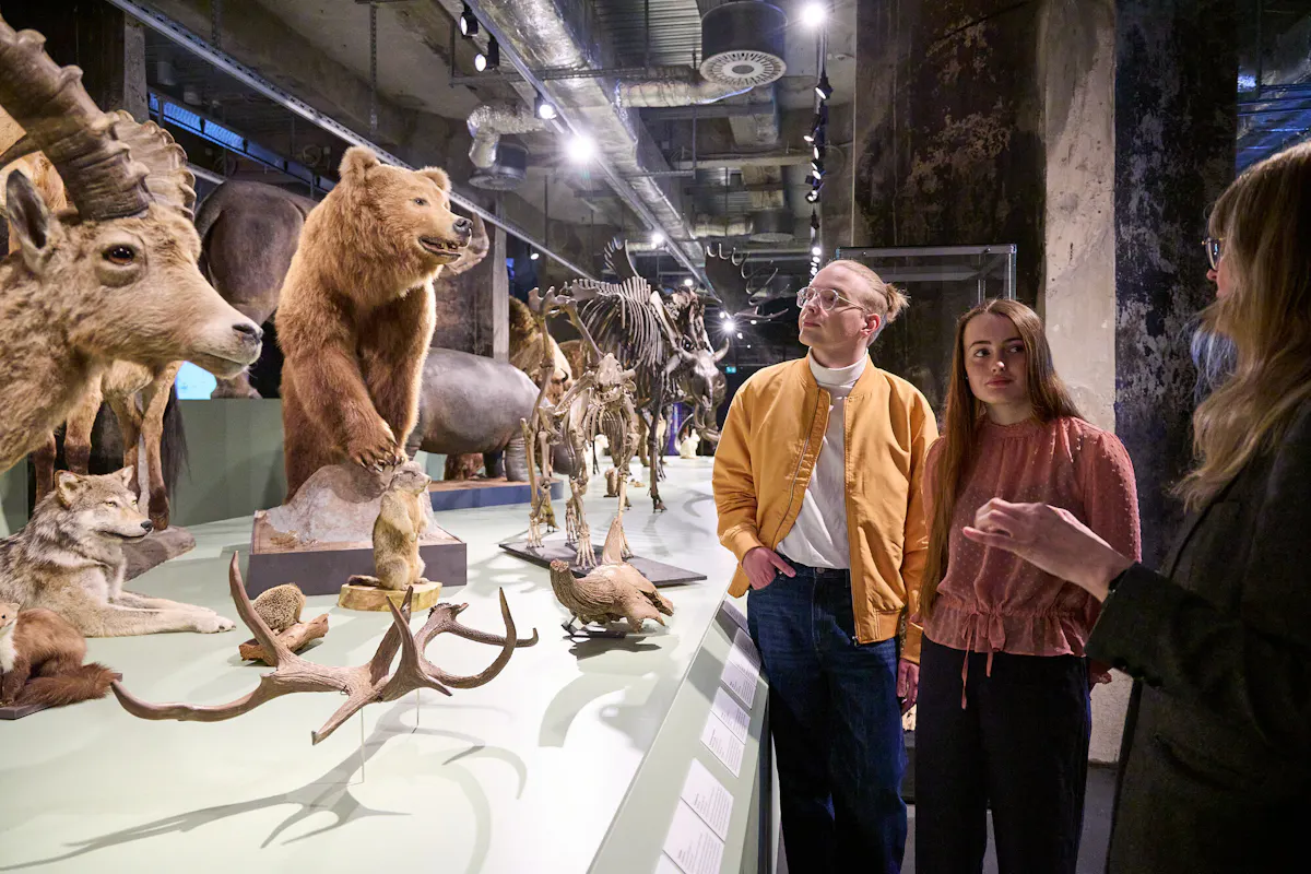 In einem Ausstellungsraum mit industriellem Charakter stehen zahlreiche präparierte Tiere, darunter ein Bär, ein Steinbock und verschiedene Geweihe. Im Hintergrund sind weitere Tierpräparate und ein Skelett zu sehen. Drei Personen stehen an einer Vitrine und betrachten die Exponate, während eine Person den anderen etwas erklärt. Die Szene ist von künstlichem Licht erhellt, und an der Decke verlaufen sichtbare Lüftungsrohre.